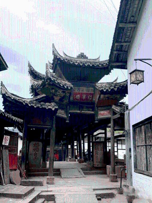 无忧国际wy6999